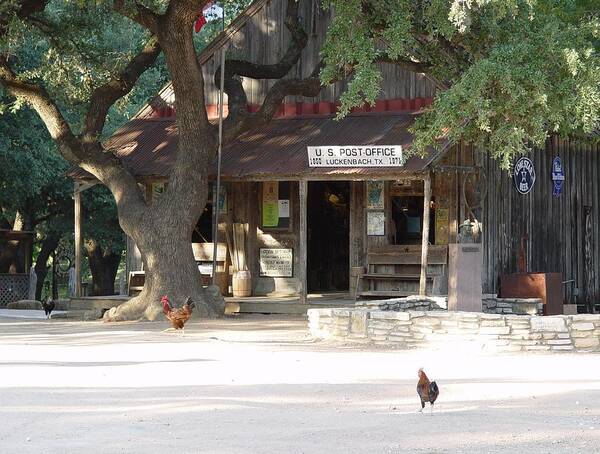 Let's Go To Luckenback Texas Poster featuring the photograph Let's Go To Luckenbach Texas by Elizabeth Sullivan