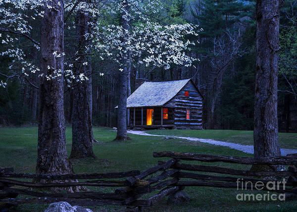 Cades Cove Poster featuring the photograph Light Within by Anthony Heflin