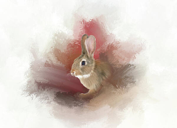 Wild Rabbit Poster featuring the photograph Little Bunny by Mary Timman