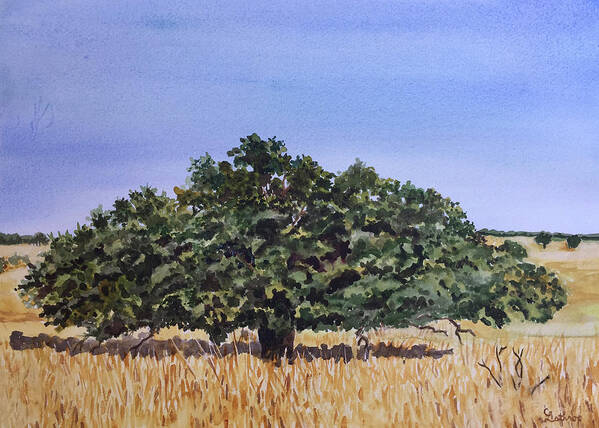 Tree Poster featuring the painting Live Oak by Christine Lathrop