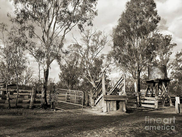 Ramp Poster featuring the photograph Loading Ramp by Linda Lees