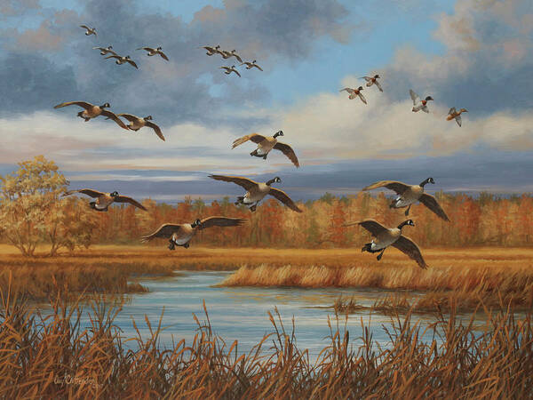 Canada Geese Poster featuring the painting Locked Up by Guy Crittenden