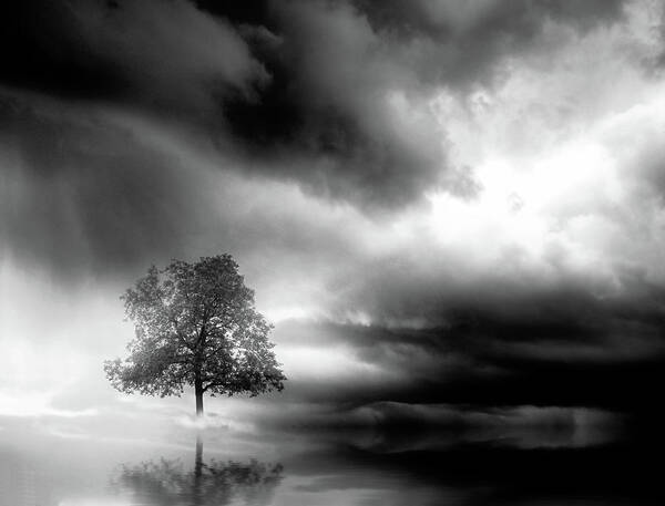 Tree Poster featuring the digital art Lonely tree and dramatic sky - black and white by Lilia S