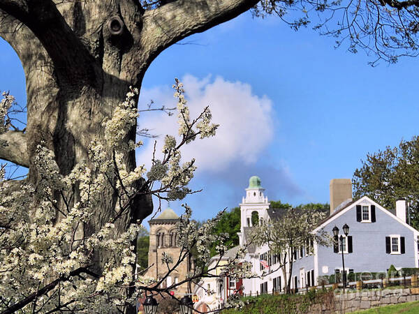 Spring Poster featuring the photograph Looking Towards Town Square by Janice Drew