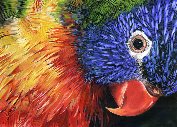 Bird Poster featuring the painting Lorikeet by Nadi Spencer