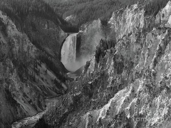 Landscape Poster featuring the photograph Lower Falls by Sheila Ping