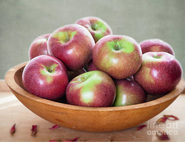 Fruit Apples Wooden Bowl Poster featuring the photograph Macoun Apples by Ann Jacobson