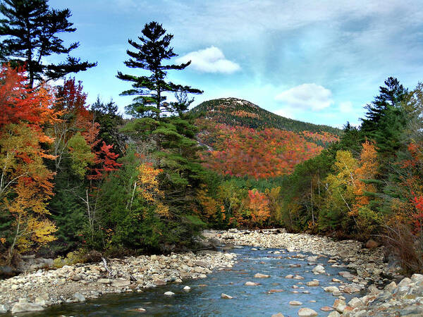 Autumn Poster featuring the photograph Mad River by Welch and Dickey by Nancy Griswold