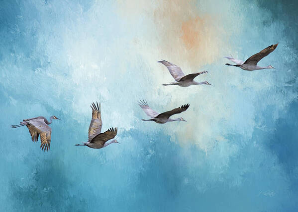 Magic Of Beginnings Poster featuring the photograph Magic Of Beginnings - Bird Art by Jordan Blackstone