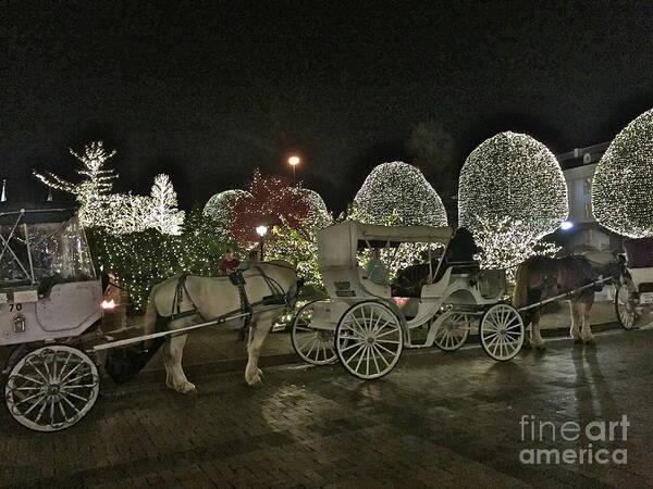 Carriage Ride Poster featuring the photograph Magical Carriage Ride by Barbara Plattenburg