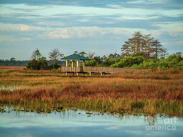 Marsh Poster featuring the photograph Marsh Observation Deck by Tom Claud