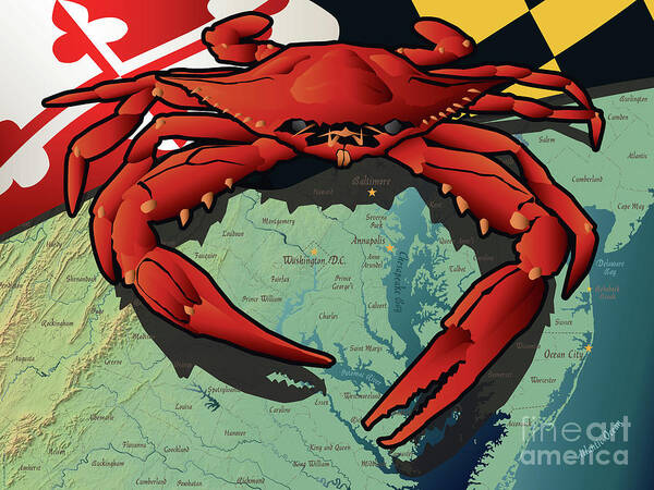 Crab Poster featuring the digital art Maryland Red Crab by Joe Barsin