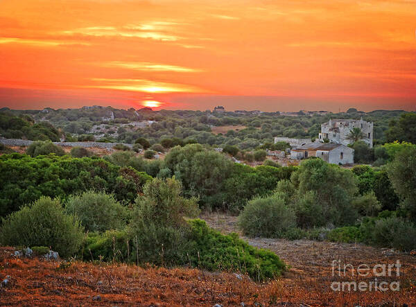 Sunset Poster featuring the photograph Mediterranean Landscape by Dee Flouton