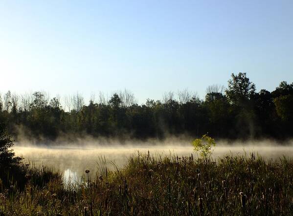 Nature Poster featuring the photograph Mists on the Welland by Peggy King
