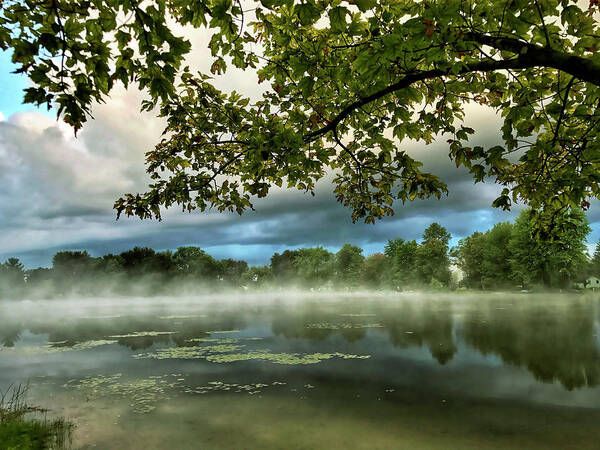 Landscape Poster featuring the photograph Misty Morn by Jill Love