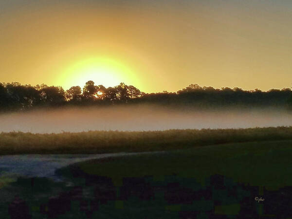 Wright Poster featuring the photograph Misty Sunrise by Paulette B Wright