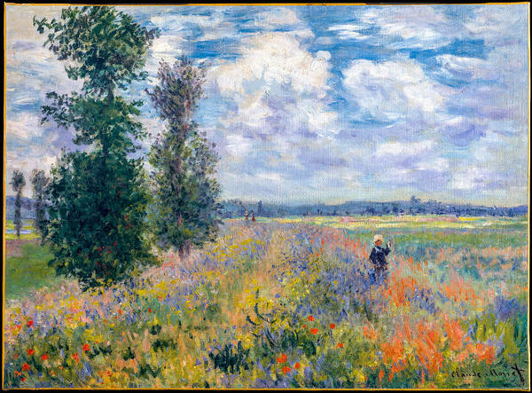 Poppy Fields Near Argenteuil Poster featuring the photograph Monet's Argenteuil     by S Paul Sahm