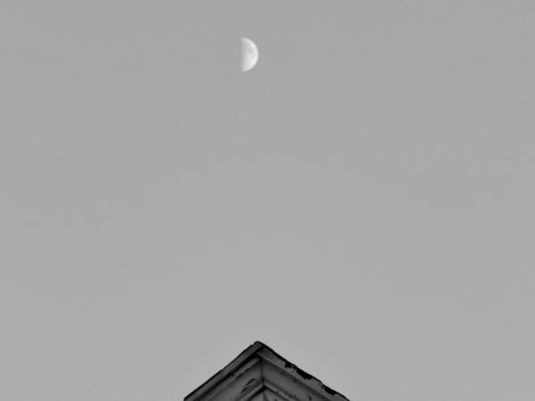 Moon Poster featuring the photograph Moon Symmetry by Jan Gelders