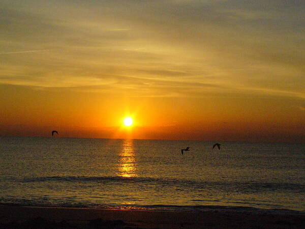 Ocean Poster featuring the photograph Morning has broken by Peggy King