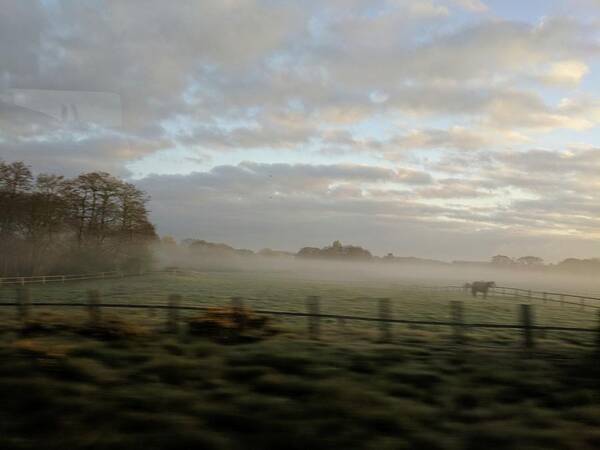 Mist Field Nature Morning Poster featuring the photograph Morning mist by Adam J Walker