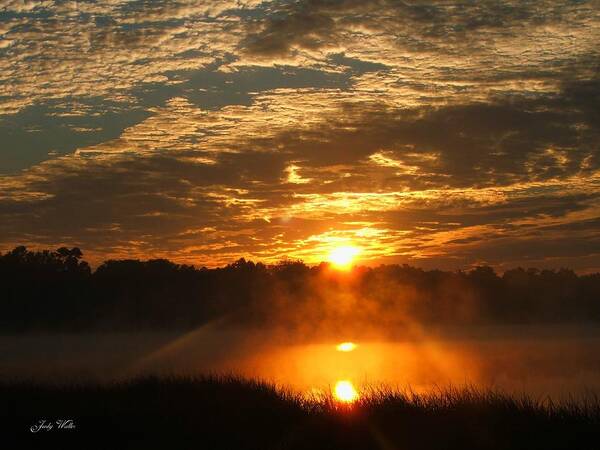 Landscape Poster featuring the photograph Morning Sunrise by Judy Waller