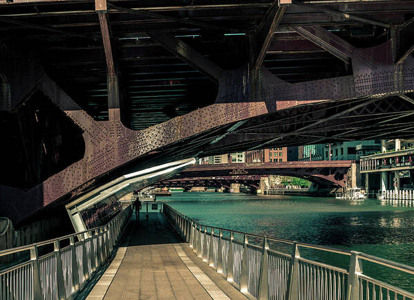 Chicago Poster featuring the photograph Morning Walk by Nisah Cheatham