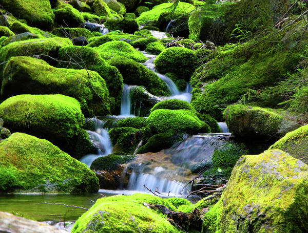 River Rocks Poster featuring the photograph Moss Rocks and River by Raymond Salani III