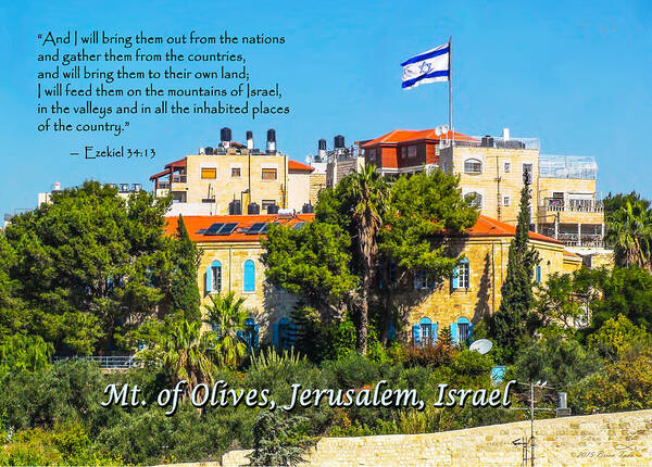 Mount Olives Poster featuring the photograph Mount of Olives Vista by Brian Tada