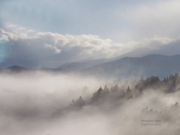 Mountain Poster featuring the mixed media Mountain Mist by Carol Cavalaris