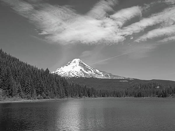 Black And White Print Prints Shot Image Picture Photo Photograph Mt. Mount Hood Cascade Mountains Volcanoes Volcano Trillium Lake Blue Trees Tree Water Campground Clouds Snow Timberline Lodge Douglas Fir Mountain Alpine High Oregon Range For Sale Fine Arts Art Prints Print High Lakes Blue Water Skiing Pacific Northwest Classic Shot Image Black And White Monochrome Cloud Formation Poster featuring the photograph Mt. Hood and Trillium Lake - Oregon by Scott Carda