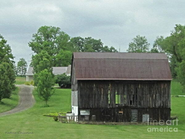 Photography Poster featuring the photograph Natural Air Conditioning by Kathie Chicoine