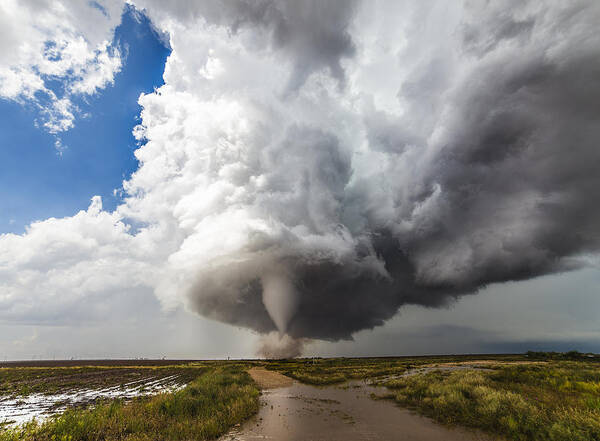 Sky Poster featuring the photograph Nature's Irony by Brandon Sullivan