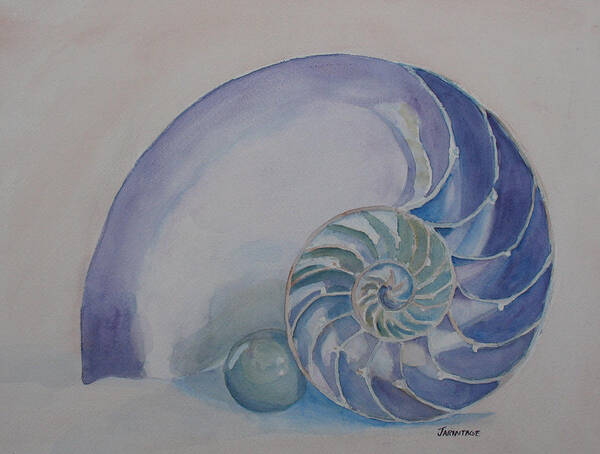 Nautilus Poster featuring the painting Nautilus With Marble by Jenny Armitage
