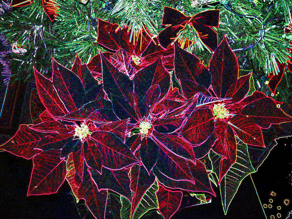 Flowers Poster featuring the photograph Neon Poinsettias by Nancy Mueller