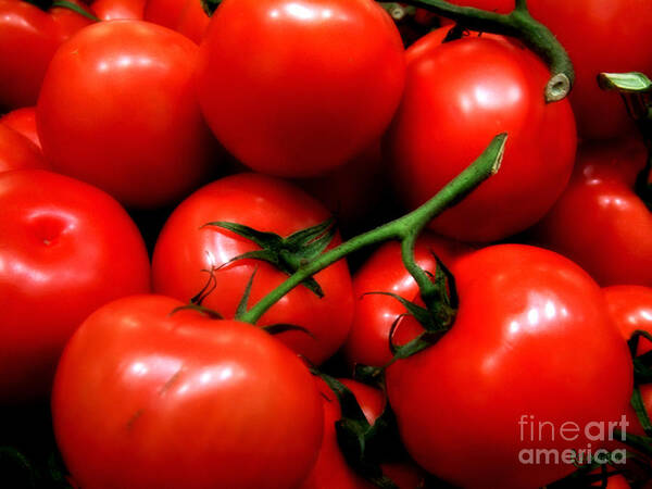 Food Poster featuring the photograph Nice Tomatoes Baby by RC DeWinter