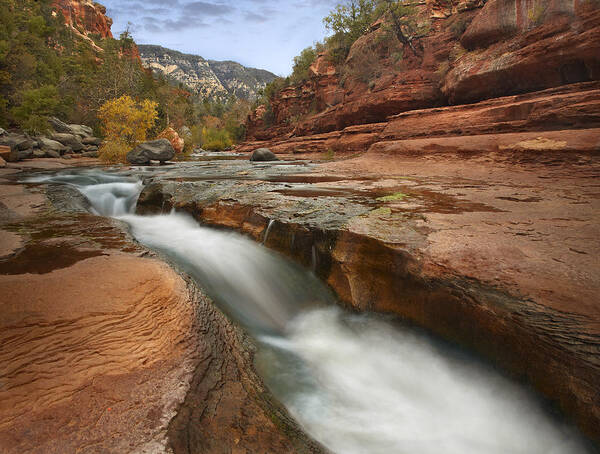 00438935 Poster featuring the photograph Oak Creek In Slide Rock State Park by Tim Fitzharris