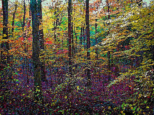 Watercolor Poster featuring the painting October Woods by Michael Gross