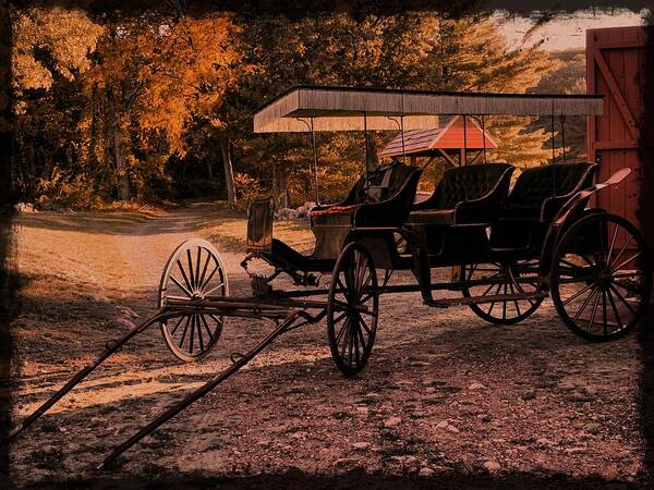 Old Poster featuring the photograph Old Cart by Lilia S