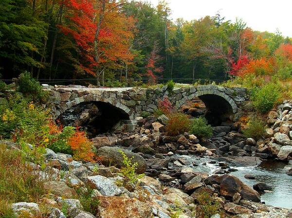 Fall Poster featuring the photograph Old Stone Bridge in Fall by Lois Lepisto