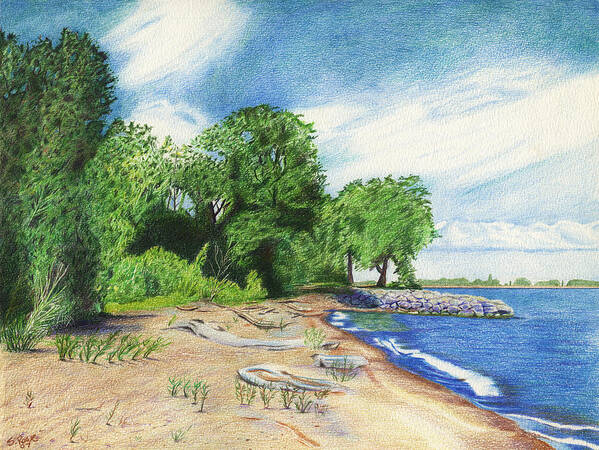 Lake Erie Poster featuring the drawing Old Woman Creek - Huron Ohio by Shawna Rowe