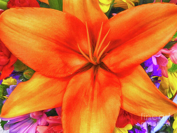 Flower Poster featuring the painting Orange Lilly Art by Deborah Benoit