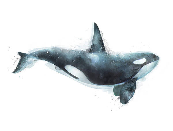 #faatoppicks Poster featuring the painting Orca by Amy Hamilton