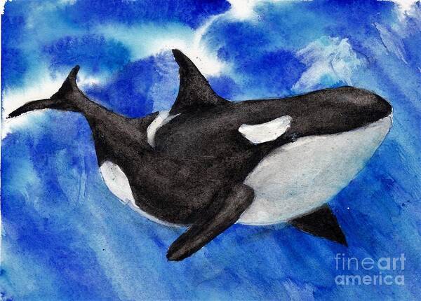 Ocean Poster featuring the painting Orca Baby by Randy Sprout