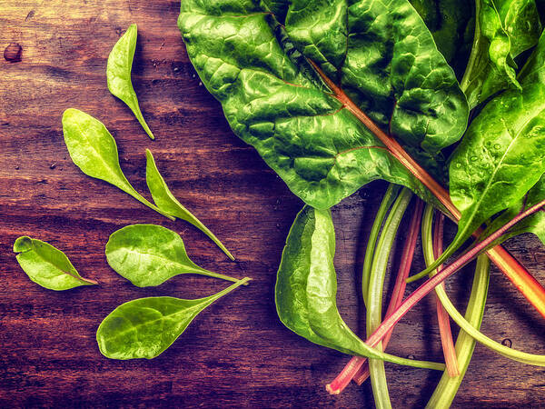 Health Poster featuring the photograph Organic Rainbow Chard by TC Morgan