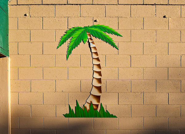 Palm Tree Poster featuring the photograph Palm tree sign by Rich Iwasaki