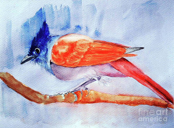 Paradise Flycatcher Poster featuring the painting Paradise Flycatcher by Jasna Dragun
