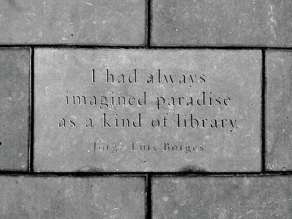 Quote Poster featuring the photograph Paradise For Some by Angelina Tamez