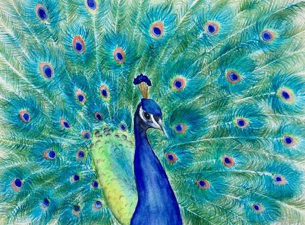 Pea Fowl Poster featuring the painting Peacock Colors by Lyn DeLano