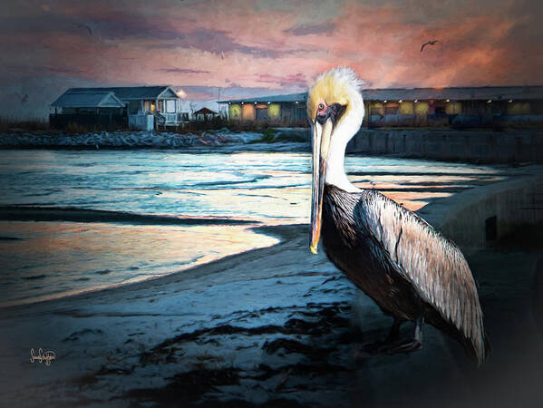 Pelican Poster featuring the photograph Pelican Sunset by Sandra Schiffner