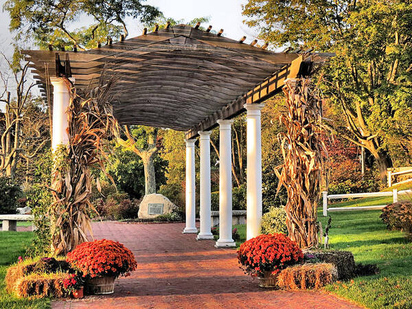 Pergola Poster featuring the photograph Pergola by Janice Drew